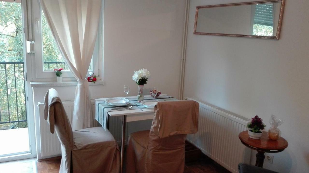 Studio Apartman Dinko Zagreb Διαμέρισμα Εξωτερικό φωτογραφία