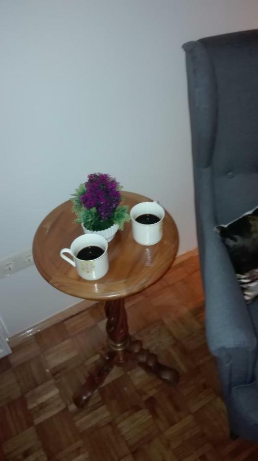 Studio Apartman Dinko Zagreb Διαμέρισμα Εξωτερικό φωτογραφία
